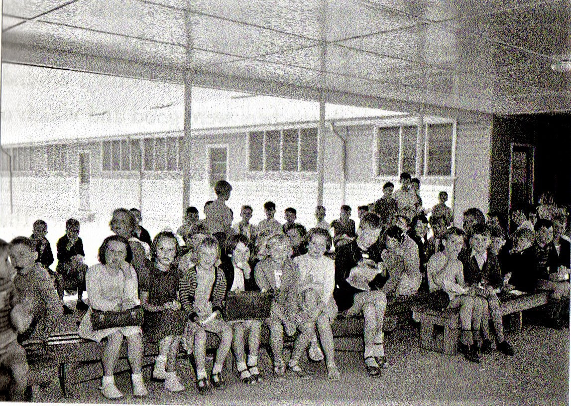 Book; Growing up in Adelaide in the 1950s - Susan Blackburn