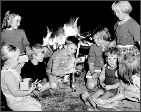 Book; Photos and Memories of Australia from the 1970s (Author signed copy)